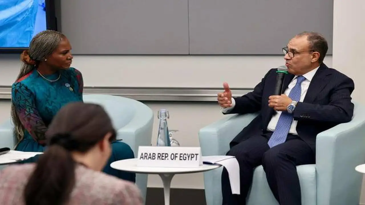 وزير الخارجية يؤكد مواصلة مصر جهودها نحو توطين صناعة الدواء محليًا